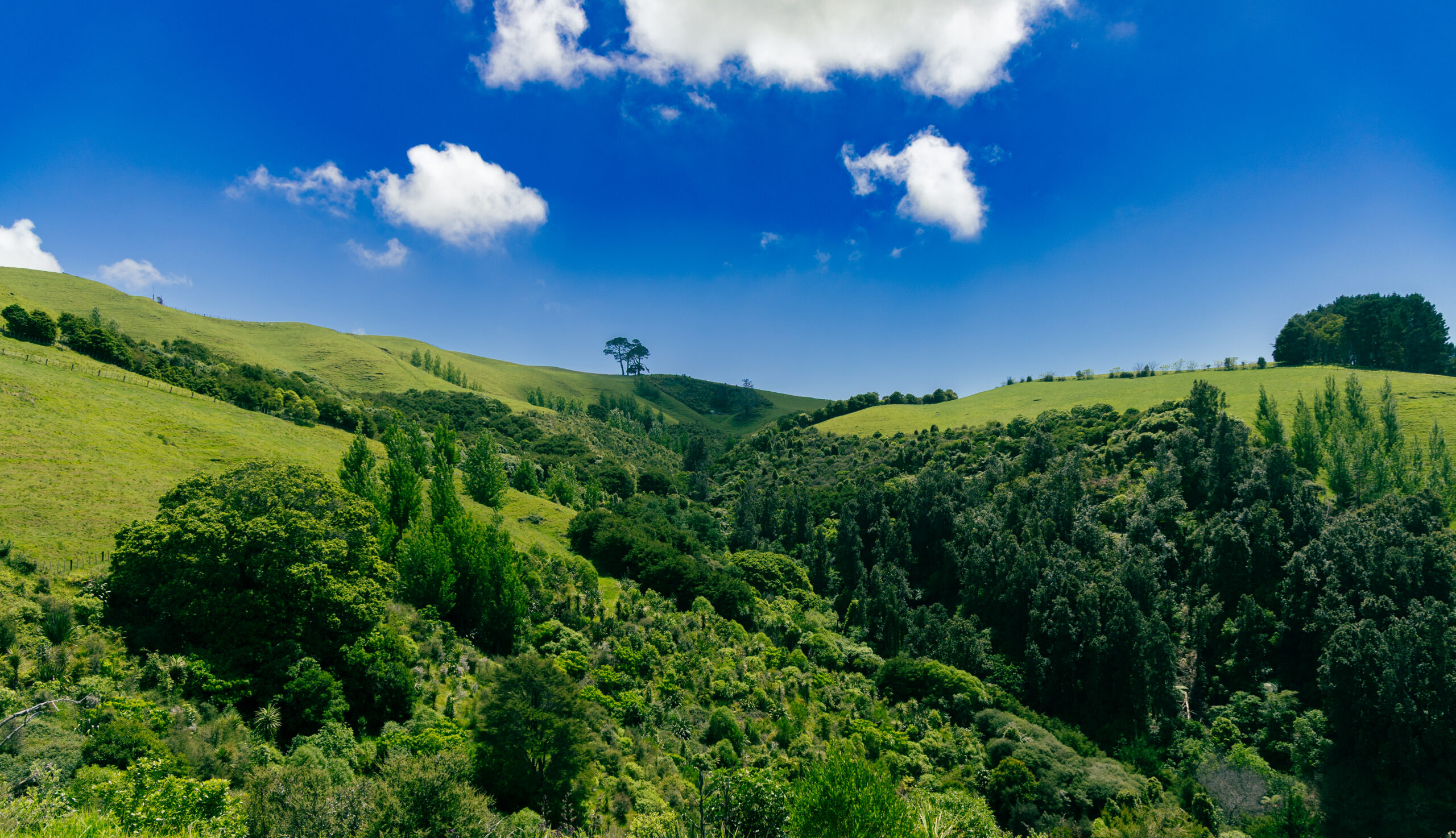 Lush Green Valley Hills Under Bright Sky